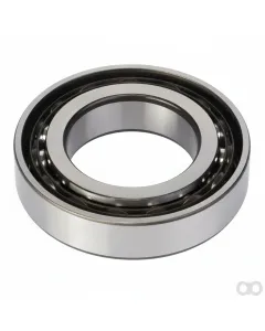 Valtra - V610072109 - Bearing