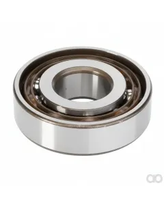 Valtra - V610073040 - Bearing