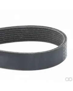 Valtra - V685081680 - Serpentine Belt, PK8 Profile