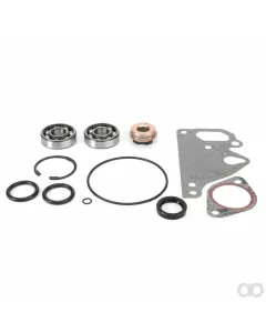 Valtra - V836762631 - Water Pump Repair Kit