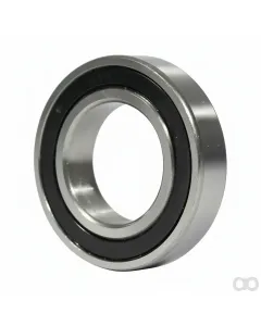 Vicon - 40102507 - Bearing 6007-2RS