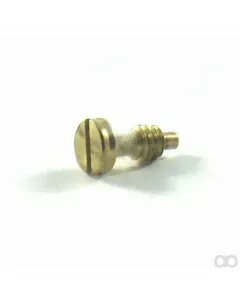 Victa - CR03522A - Carburetor Cover Screw