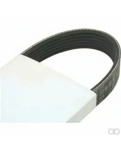 Yale - 580020334 - V-Belt