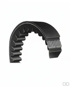 Yale - 580035883 - V-Belt