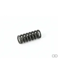 ZF - 090012811 - Wave Spring