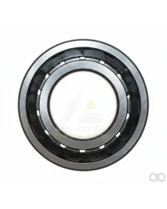 ZF - 090014981 - Wave Spring